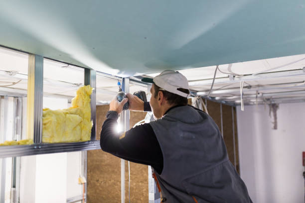 Best Insulation Installation Services in Towanda, KS